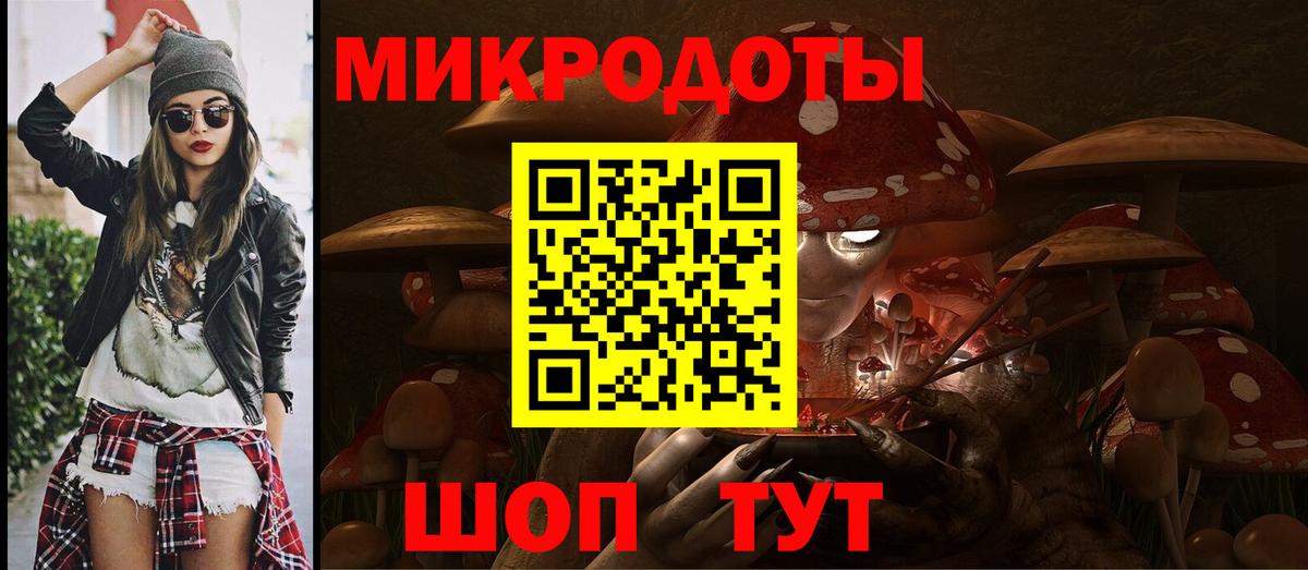 Галлюциногенные грибы Psilocybe Советская Гавань